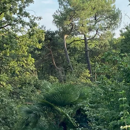 Bed and breakfast Couette Et Café L'agence 3*