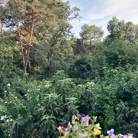 Oda ve Kahvaltı Couette Et Cafe L'agence
